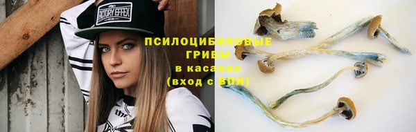 крисы Алзамай