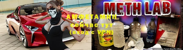 крисы Алзамай