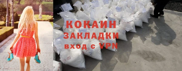 крисы Алзамай